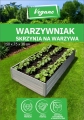 Warzywniak Szary 1.jpg