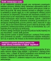 Rodicum Fluo tył 5.jpg