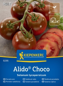 Pomidor Sałatkowy Alido Choco– Kiepenkerl
