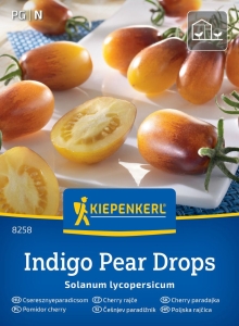 Pomidor cherry 'Indigo'