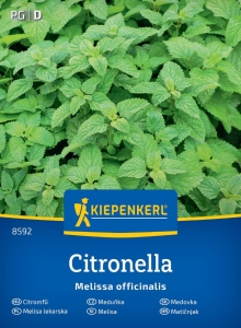Melisa lekarska Citronella Kiepenkerl