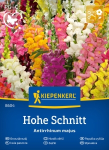 Lwia paszcza Hohe Schnitt mieszanka na kwiaty cięte