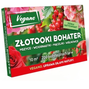 Złotooki bohater Vegano - 200 larw - 10 m2 ochrony