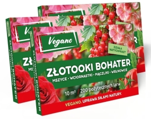 Złotooki bohater Vegano - 600 larw - 30 m2 ochrony
