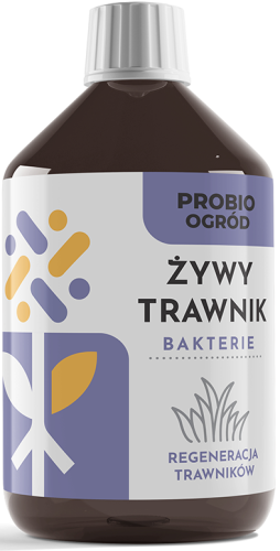 Zywy-trawnik.png
