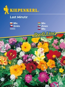 Mieszanka szybko rosnących kwiatów – Last Minute | Kiepenkerl