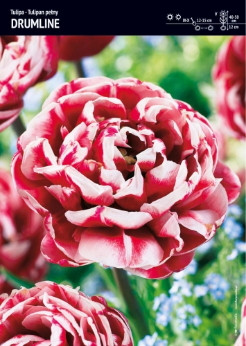 113b665c3273c605d9866dccbe666399