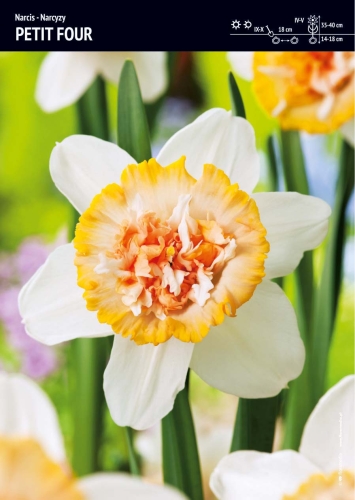 0484a90db243afe1b2ff9f206a53a148