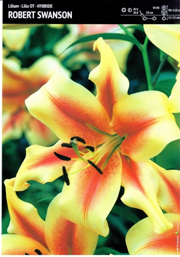 63862d653bef1bd45587b942d623d9db