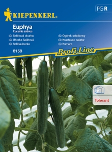 Ogórek sałatkowy 'Euphya'