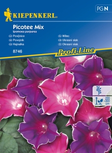 Wilec purpurowy 'Picotee', mieszanka