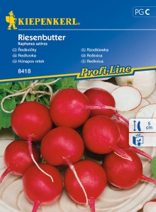Rzodkiewka 'Riesenbutter' | Kiepenkerl