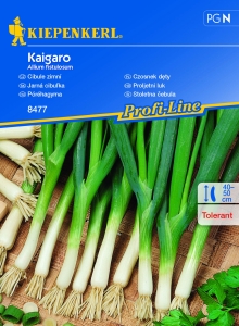 Czosnek Dęty Kaigaro – Kiepenkerl