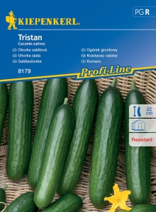 Ogórek gruntowy 'Tristan'