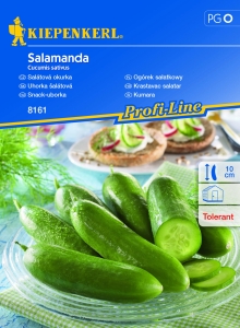 Ogórek sałatkowy 'Salamanda'