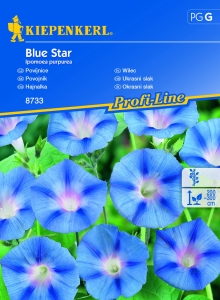 Wilec 'Blue Star'