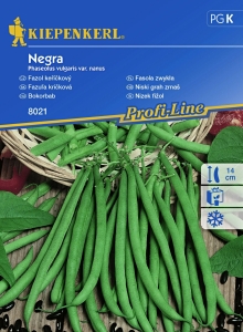 Fasola zwykła 'Negra'