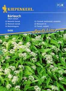 Czosnek niedźwiedzi