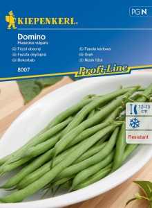 Fasola karłowa 'Domino' – Odporna Na Choroby