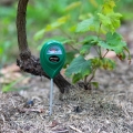 10070