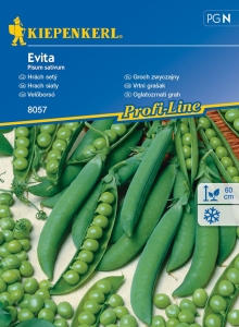 Groch Zwyczajny 'Evita'