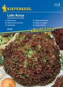 Sałata karbowana 'Lollo Rossa'