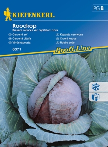 Kapusta czerwona 'Roodkop'