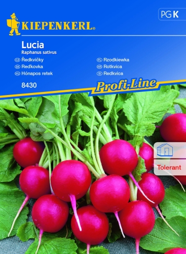 lucia 1.jpg
