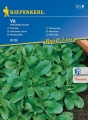 00008109-000-00_VS_Feldsalat Vit_4000159081093.jpg