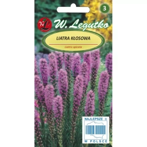 Liatra kłosowa – różowo-fioletowa – 0,2 g Legutko
