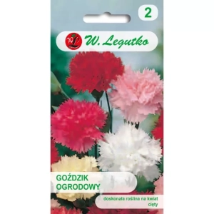 Goździk ogrodowy – mix – 0,5 g Legutko