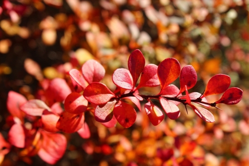 bd11fa2ef804b1199c20f561d7850d45