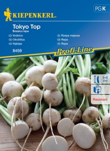 Rzepa majowa 'Tokyo Top' (F1)