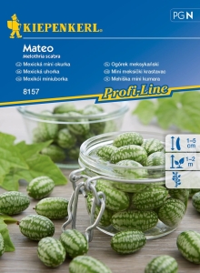 Ogórek meksykański 'Mateo'