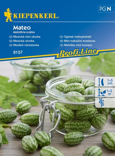OGOREK MATEO.jpg
