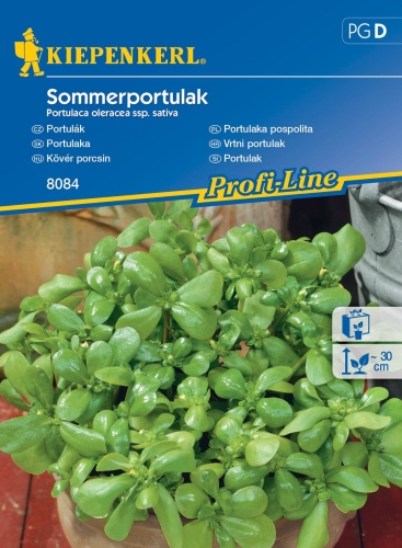 PORTULAKA.jpg