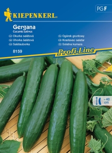 Ogórek gruntowy 'Gergana'