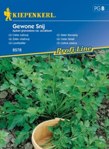 Seler liściasty 'Gewone Snij'