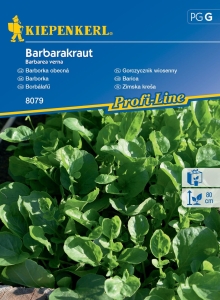 Gorczycznik wiosenny 'Barbarakraut'