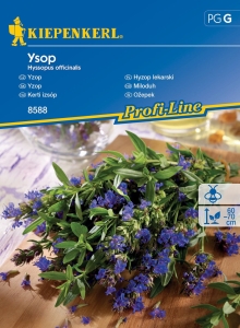 Hyzop lekarski 'Ysop'