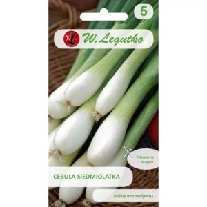 Cebula siedmiolatka 'Winter Nest'