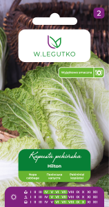 Kapusta pekińska 'Hilton'