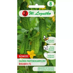 Ogórek 'Brawo' F1