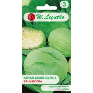 Kapusta głowiasta 'Biała Brunświcka'
