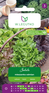 Sałata Mieszanka Odmian