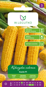 Kukurydza cukrowa 'Gucio' F1