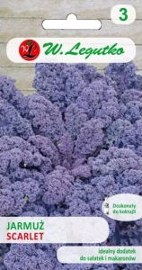 Jarmuż Czerwony 'Scarlet'
