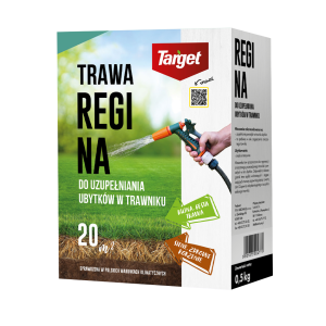 Regina 500 g nasiona trawy do uzupełniania ubytków w trawniku | Target