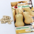 dynia piżmowa (3).jpg