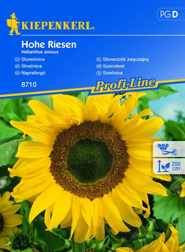 13400